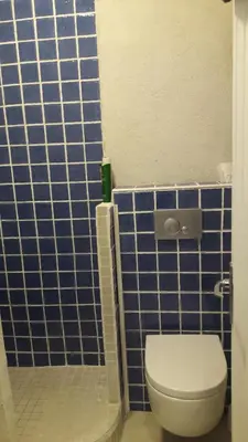 a bathroom with a toilet and a blue tiled wall at BLAU in Masnou