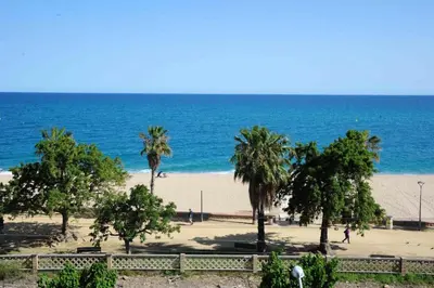 a beach with palm trees and the ocean at Apartamento frente al mar in Canet de Mar