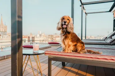 a dog sitting on a bench on a balcony at Kimpton Vividora Hotel by IHG in Barcelona