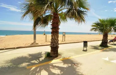 two palm trees on a beach with the ocean at Apartamento Pineda in Pineda de Mar