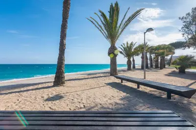 a bench on a beach with palm trees and the ocean at HomeHolidaysRentals Frida in Pineda de Mar