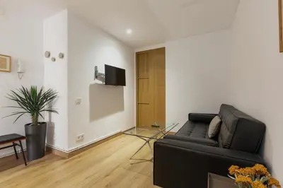 a living room with a black couch and a tv at Alos Apartments Paseo de Gracia-Diagonal in Barcelona
