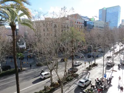 a view of a city street with cars and a palm tree at Hostal Petit Príncep in Barcelona