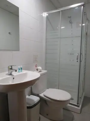 a bathroom with a toilet and a sink and a shower at Hostal Petit Príncep in Barcelona