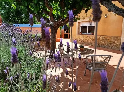 a patio with chairs and a table and purple flowers at MAS DEL VENT- Barbacoa, jardín, piscina privada y vistas a mar in Cunit