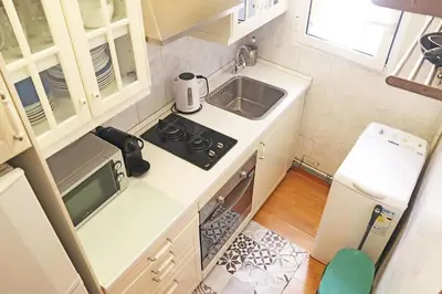a small kitchen with a stove and a sink at Bcn-rentals apartments in the Old town in Barcelona