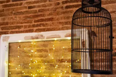 a bird in a cage in front of a window at Stay U-nique Apartments Ramón y Cajal in Barcelona