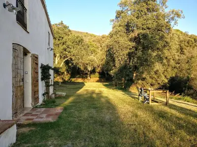 an empty yard next to a building and a tree at Masia Mediterranian Country House Ca l'Isidre Torrent in Sant Cebrià de Vallalta