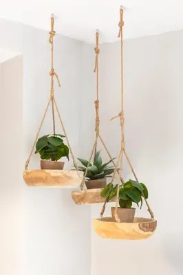 a pair of hanging plants on a wall at El Alma de las Ramblas in Barcelona