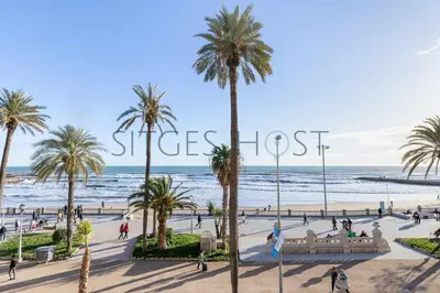 people walking on a beach with palm trees and the ocean at Magnificas vistas al mar in Sitges