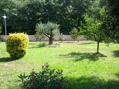 two trees in a field of grass with a fence at Ca L'Estrada in Sant Esteve de Palautordera