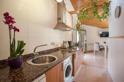 a kitchen with a sink and a dishwasher at BCNGOTIC 50 in Barcelona