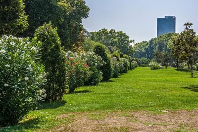 a row of bushes in a park with a building in the background at Habitat Apartments Alibei in Barcelona