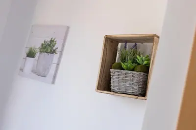a room with plants in a basket on a wall at matarolux17 in Mataró