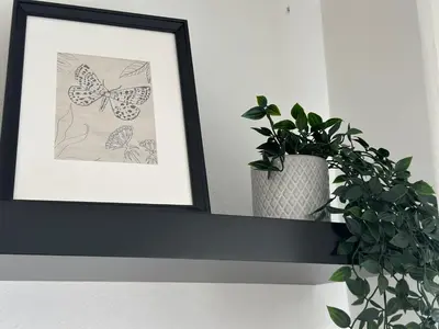 a picture frame with a butterfly picture and a plant at Beach apartment IV Coeur de Plage in Castelldefels