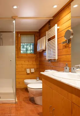 a bathroom with a toilet and a sink and a shower at Caseta de Fusta in Aiguafreda