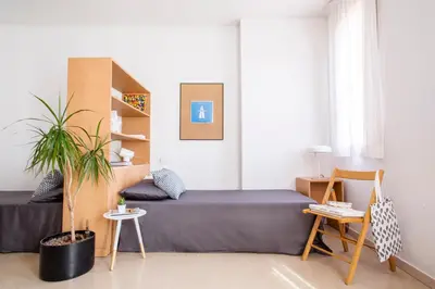 a bedroom with a bed and a plant in it at Residencia Universitaria Resa Francesc Giralt i Serrà in Terrassa