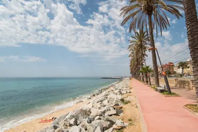 a beach with palm trees and a sidewalk at Vilamarlux IV in Vilassar de Mar