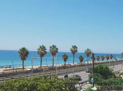 a road with palm trees and the ocean in the background at Panier en Osier · Panier en Osier · Charming apartment w/private terrace 2min from sea in Vilassar de Mar