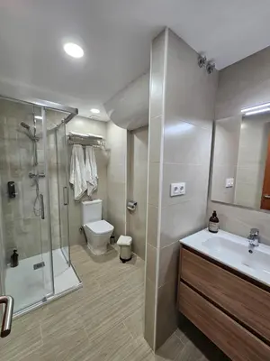 a bathroom with a shower and a sink and a toilet at Mataró Center Apartment in Mataró