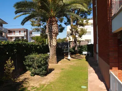 a palm tree in a yard next to a building at Vinyet Sitges in Sitges