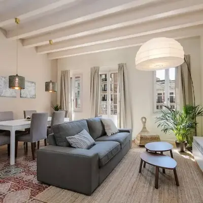 Historical Apartment With Awesome Rooftop