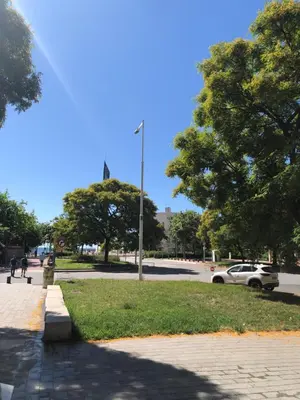 a park with a car parked on a street at Comtal homey apartments in Barcelona