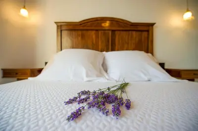 a bouquet of purple flowers sitting on a bed at Bolet Casa Modernista in Castellví de la Marca