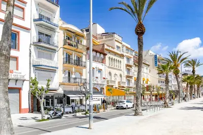 a city street with palm trees and buildings at Apart Cozy On The Front Line, Liliane in Sitges