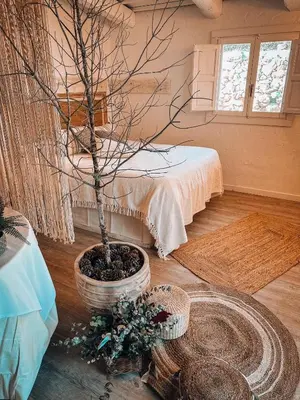 a room with a potted tree in a room at Suite con Burbuja in Canyelles