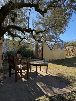 a picnic table and a bench under a tree at Suite con Burbuja in Canyelles