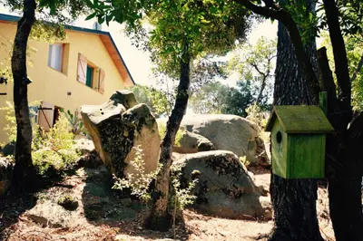 a bird house on a tree next to a building at Casa Feliz in Sant Cebrià de Vallalta