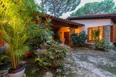a house with a bunch of plants in front of it at Villa Can Duarry - Barcelona Country House 1 in Premia de Dalt