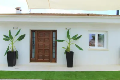 a house with two plants in front of a door at Villa Paradise , playa privada a 10 minutos de Sitges in Sant Pere de Ribes