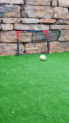 a frisbee sitting on the grass next to a goal at Villa Paradise , playa privada a 10 minutos de Sitges in Sant Pere de Ribes