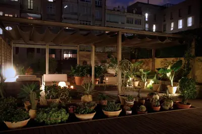 a group of potted plants on a patio at night at B&B Boutique Ca La Maria in Barcelona