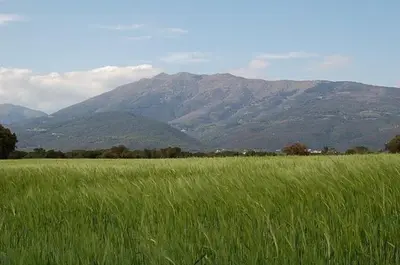 a field of green grass with mountains in the background at Turó de L´Home in Santa María de Palautordera