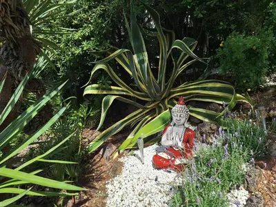 a garden with a stone path with plants and a bench at Casa acogedora familiar en la montaña in Pallejá