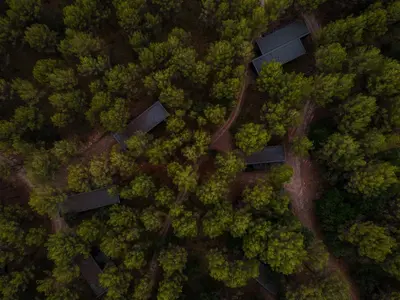 an overhead view of a forest with trees and houses at Les Cabanes de l'Oller del Mas in Manresa