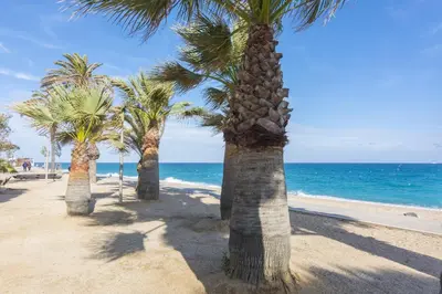 a row of palm trees on a beach with the ocean at HomeHolidaysRentals Marella - Costa Barcelona in Pineda de Mar