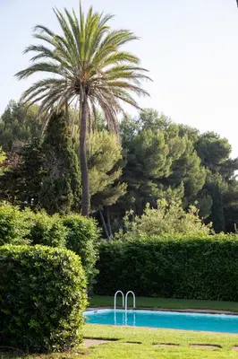 a swimming pool with a palm tree and bushes at Villa Can Bagués in Mataró