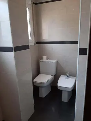 a bathroom with a toilet and a sink at Habitaciones en Villa Coliving Casa Rural in San Fausto de Campcentellas