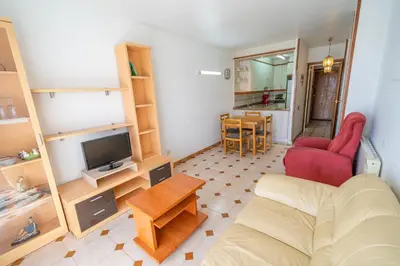 a living room with a couch and a tv and a table at HomeHolidaysRentals Destan - Costa Barcelona in Pineda de Mar