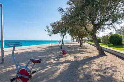 a bike parked on a beach next to a tree at HomeHolidaysRentals Destan - Costa Barcelona in Pineda de Mar