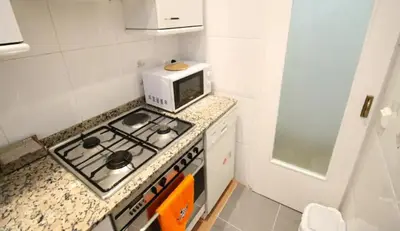 a small kitchen with a stove and a microwave at Sagrada Familia Apartamento eco friendly in Barcelona
