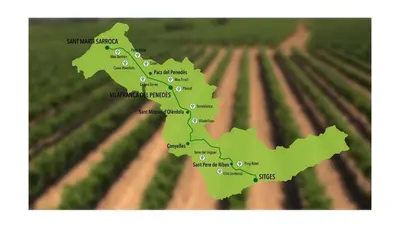 a map of a field of green peppers at Karin Palma Fiesta-Vallpineda-Sitges in Sant Pere de Ribes