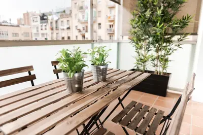 a wooden table with three potted plants on it at Alcam Aribau in Barcelona