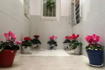 a group of potted plants sitting in a room at M5 Cool Terrace. Metro 1 min. Center 15' by metro in Esplugues de Llobregat