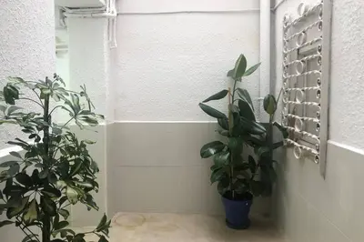 a bathroom with two potted plants next to a shower at M5 Cool Terrace. Metro 1 min. Center 15' by metro in Esplugues de Llobregat