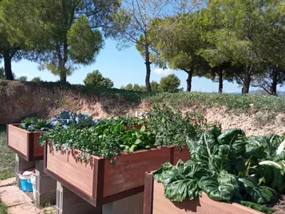 two wooden boxes filled with plants in a garden at Romegosa Benestar in Sant Marçal
